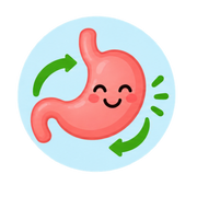 Supports Better Digestion